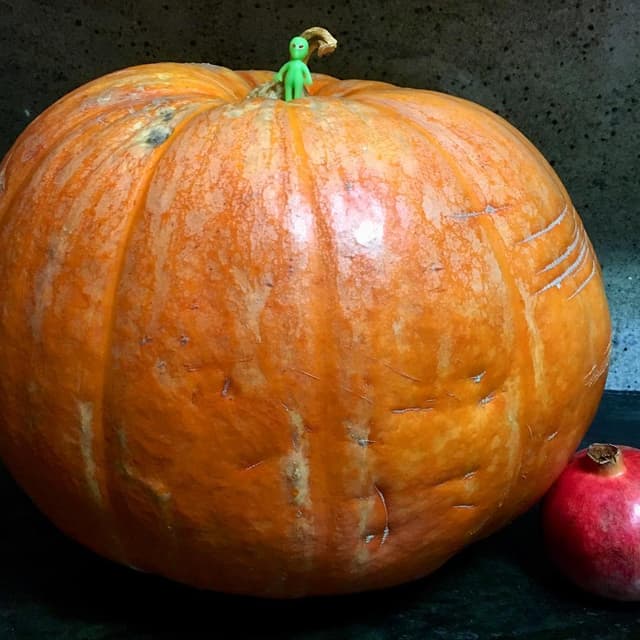 Pumpkin alien
