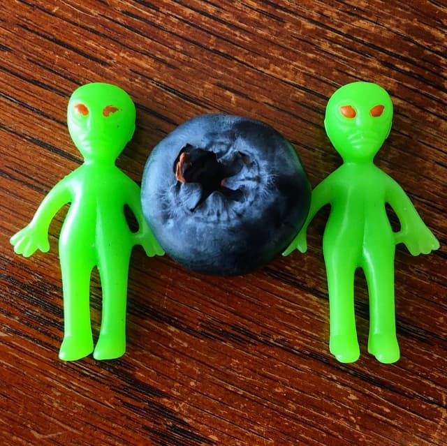She's called blueberry and everybody know,
Blueberry blueberry is the neighborhood ho.