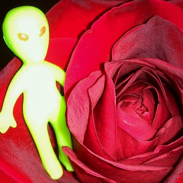 From Amber