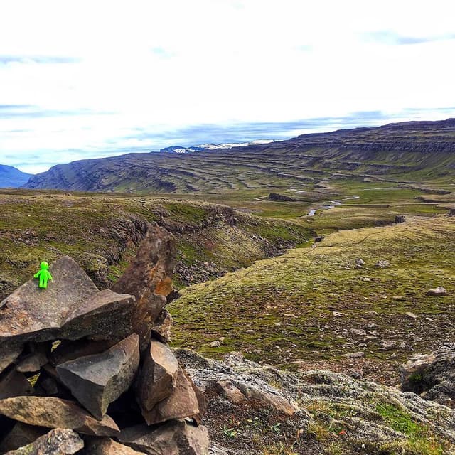 Alien in Iceland