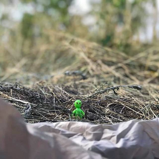 Ground alien