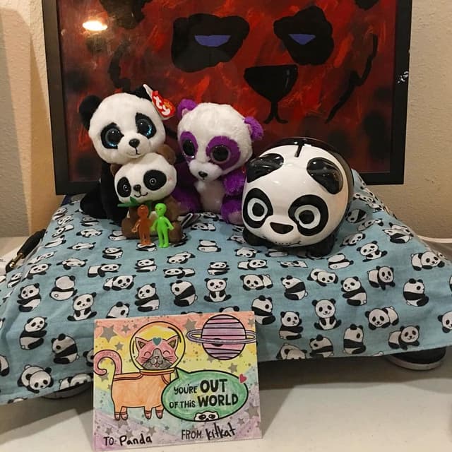 Panda Aliens 👽🐼👽