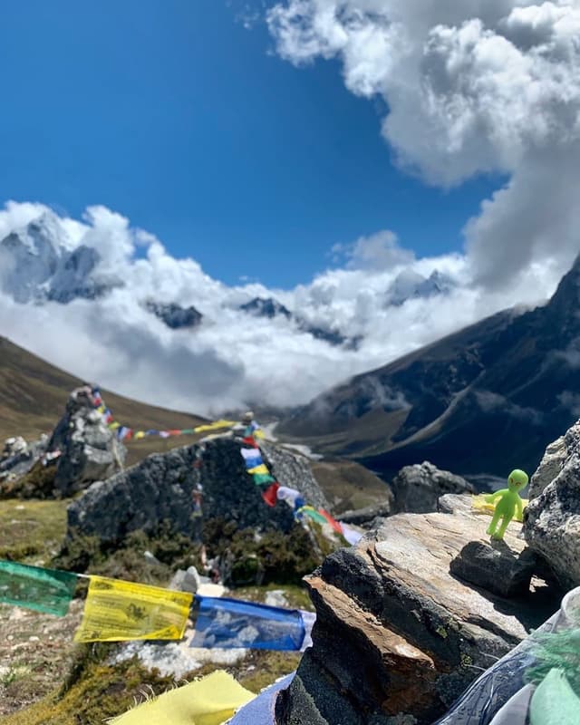 Himalayan alien