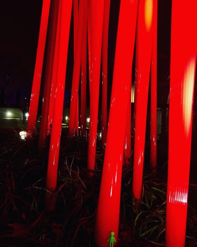 Chihuly Nights