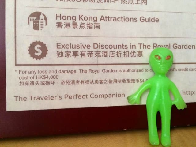 Travel companion