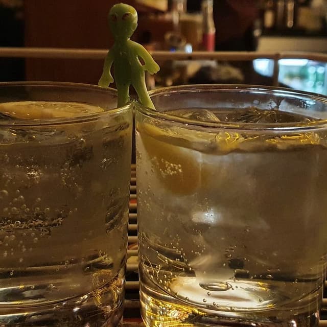 Gin connoisseur alien (1 of 2)