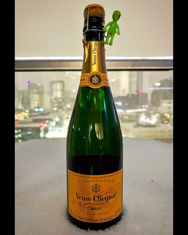 New Year’s Eve champalien