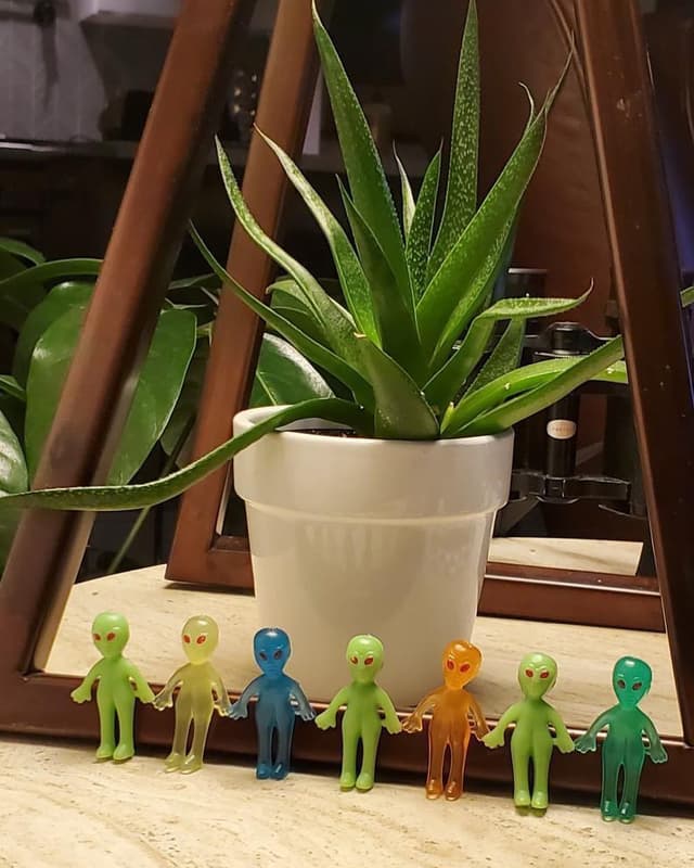 Quite a crew