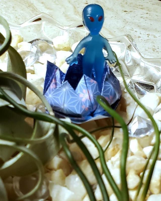 Blue flowers alien
