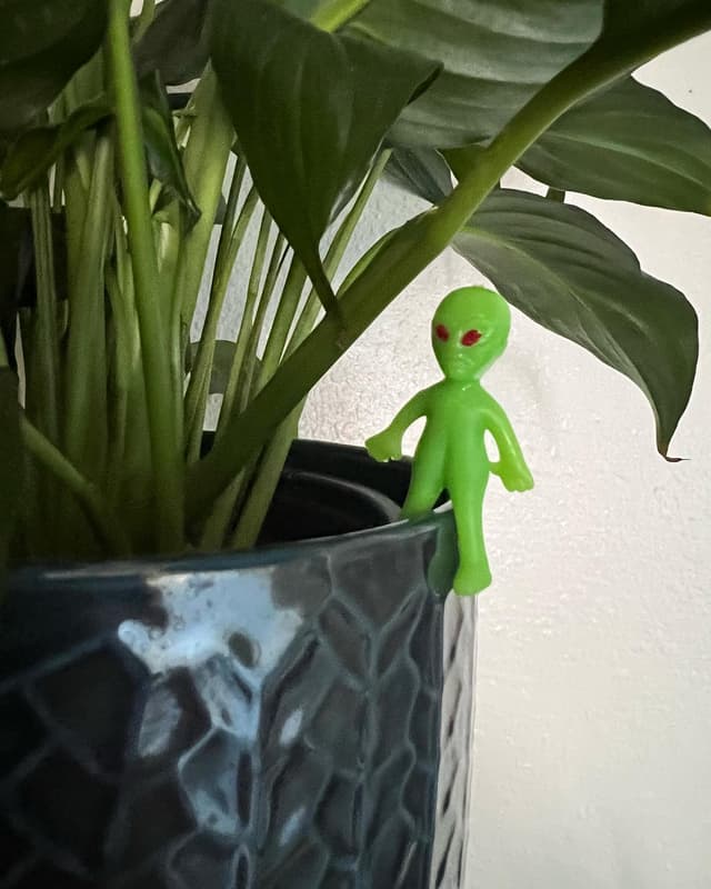 Green alien