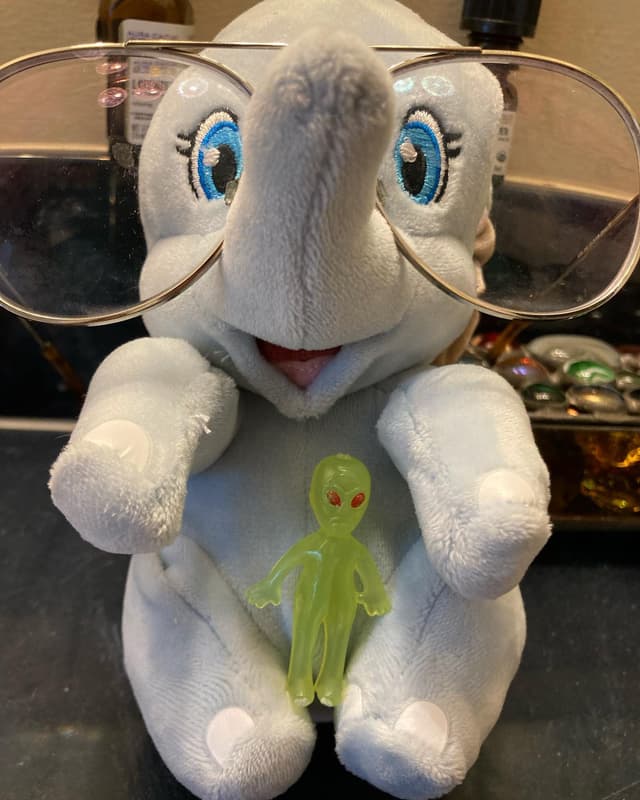 Elephantalien