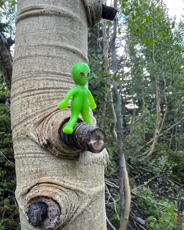 Breckenridge alien