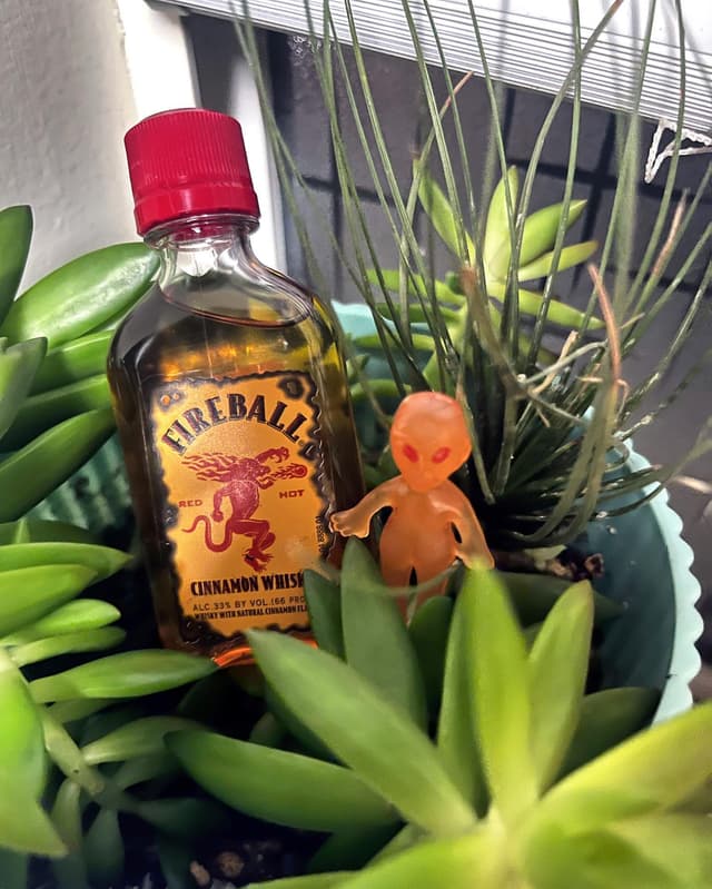 Fireball alien 🔥👽