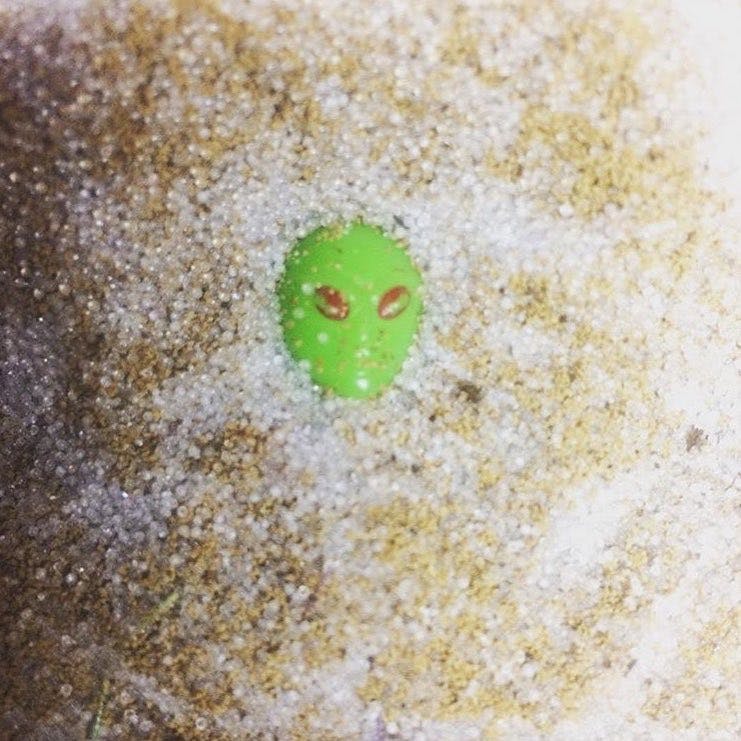 Beach alien