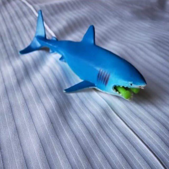 Alien land shark victim
