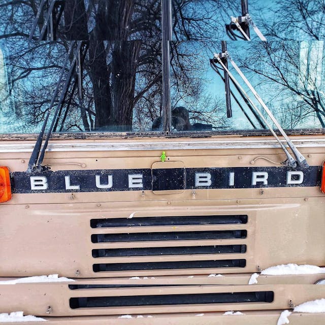 Blue Bird Party Bus