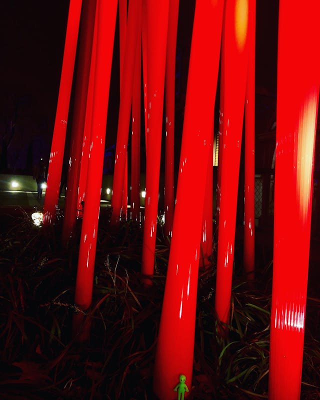 Chihuly Nights