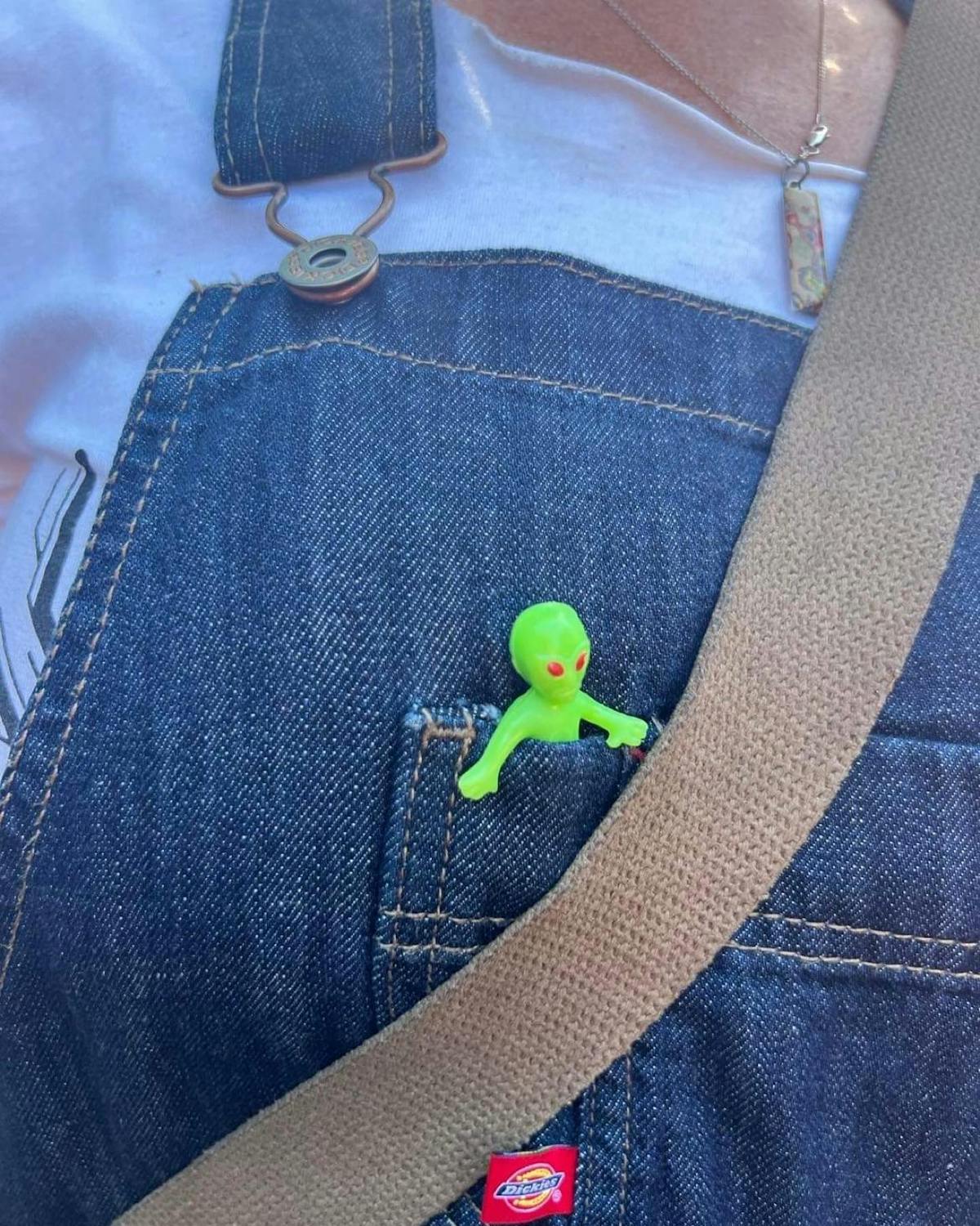 Mandy’s pocket alien